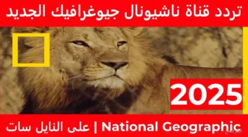 تنويه رسمي.. تردد قناة ناشيونال جيوغرافيك 2025 على جميع الأقمار لمتابعة أهم مغامرات الطبيعة والعلوم